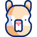 alpaca animated icon