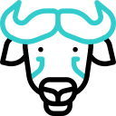 búfalo 