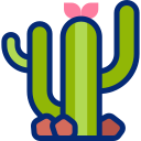 cactus icon