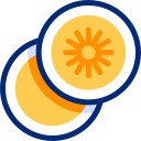 Peso icon