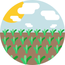 Campo icon