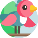 Pájaro icon