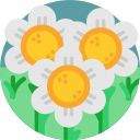 Flores icon