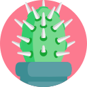 Cactus icon