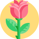 Rosa icon