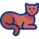 고양이 icon
