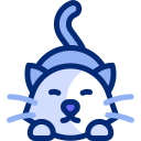 고양이 icon