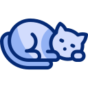 gato icon