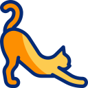 고양이 icon