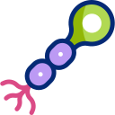 neurona unipolar icon