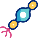 neurona bipolar icon