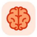 cerebro icon