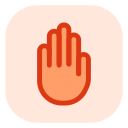 palmera icon