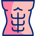 abdominales icon