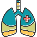 pulmones icon