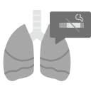 pulmones