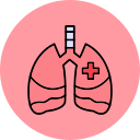 pulmones icon