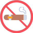 sin cigarro icon