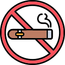 sin cigarro icon