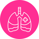 pulmones