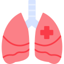 pulmones icon