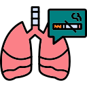 pulmones icon