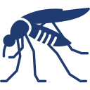 mosquito icon