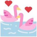 Cisnes icon