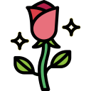 Rosa icon