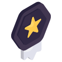 insignia de estrella icon