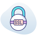 ssl icon