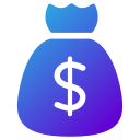 bolsa de dinero icon