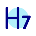 h7 icon