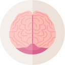 cerebro icon