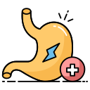 Stomach 