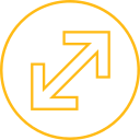 maximizar icon