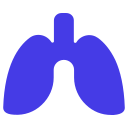 pulmones 