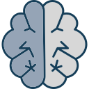 cerebro icon