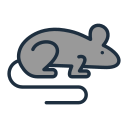 ratón icon