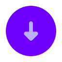 flecha icon