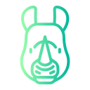 Rhino 
