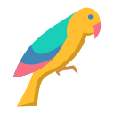 perico 