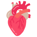 corazón icon