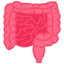 intestino icon