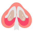 nasal icon