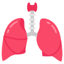 pulmones