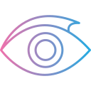 ojo icon