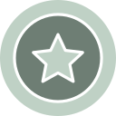 estrella icon