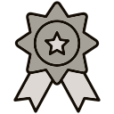 insignia icon