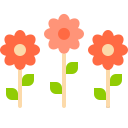 flores icon